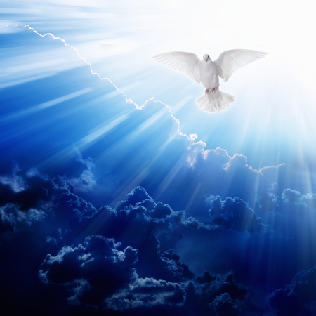 dove with light above it