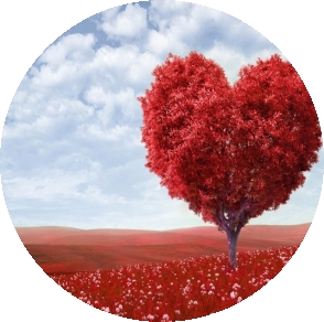 Its a Whole New World When You Fall in Love Its a Whole New World When You Fall in Love