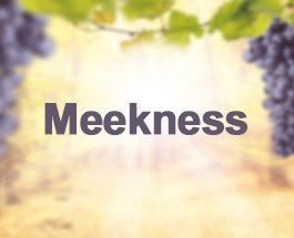 Meekness